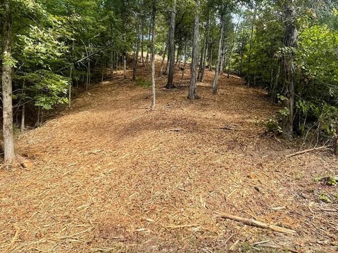 Residential Lot in Gated Community