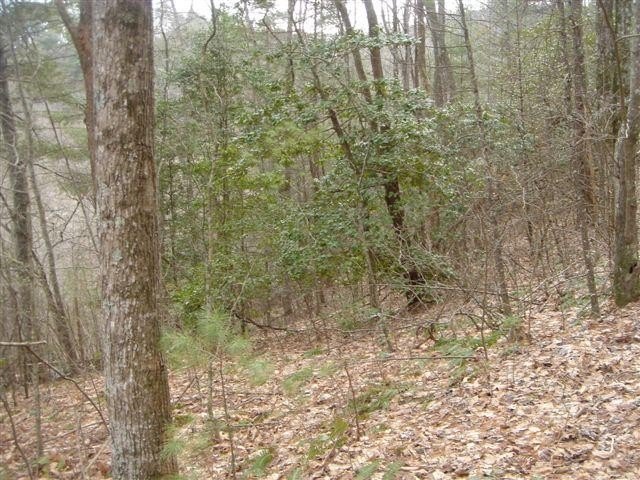 Blairsville Vacant Lot in Community