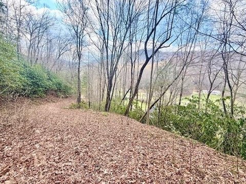Land in Beech Creek Community