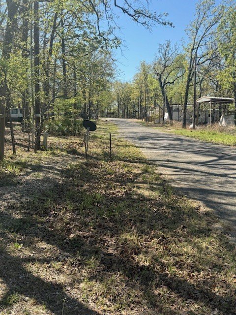 Picture 29
