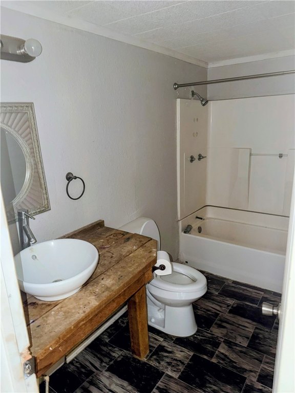 Picture 14