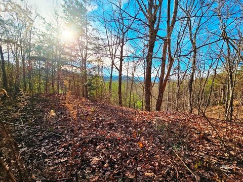 Land with Mountain Views