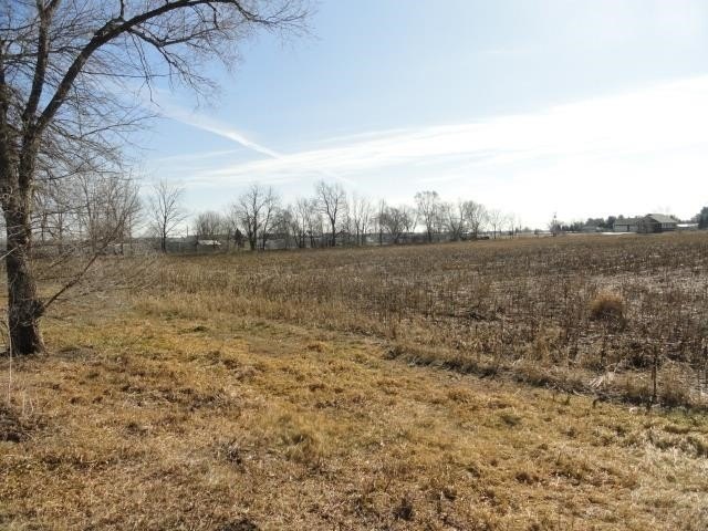 Picture 15