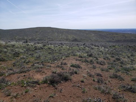 Recreation Land with Dirt Road Access