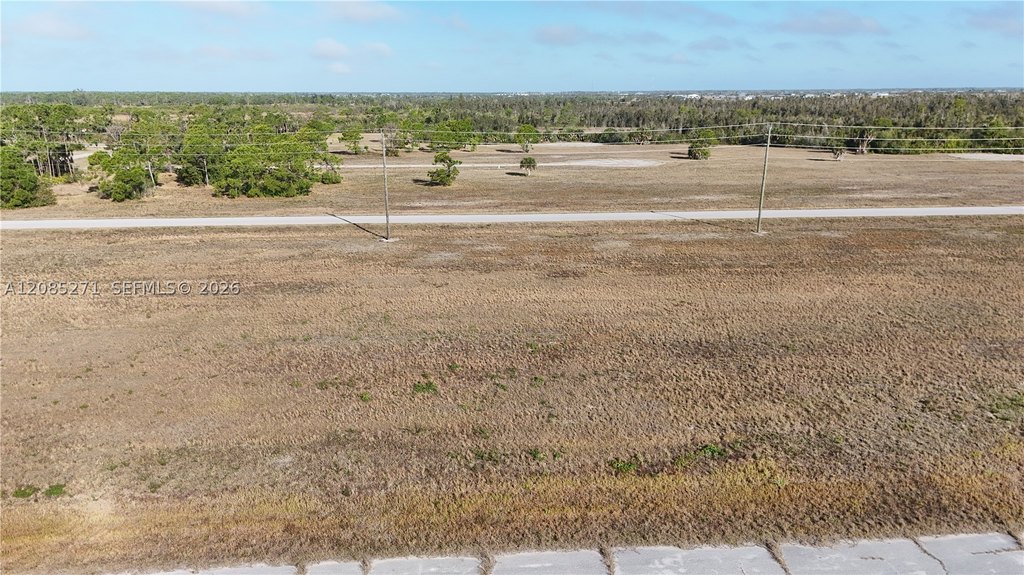 Picture 17