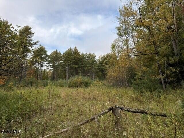 Picture 6