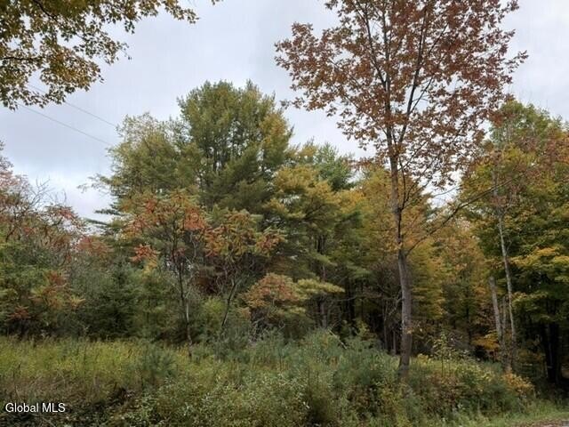 Picture 7