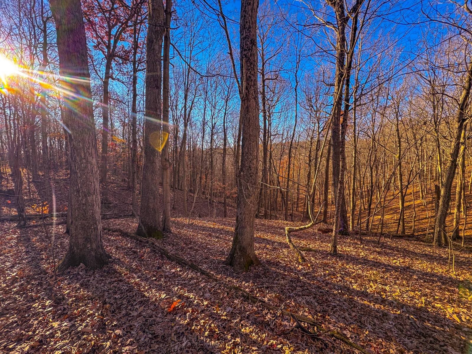 Waverly Vacant Land For Sale