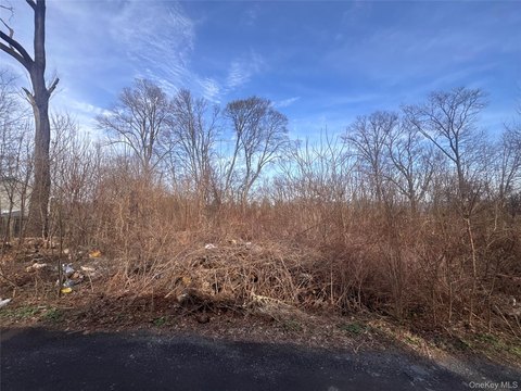 LAND - Newburgh, NY