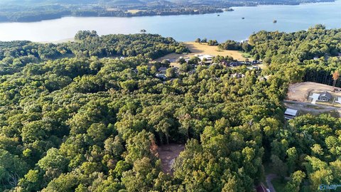 Land, Guntersville, AL