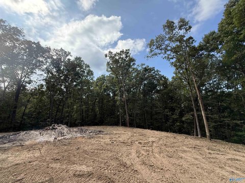 Land, Guntersville, AL