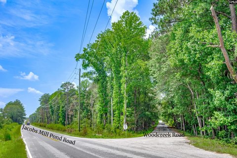 LOTS AND ACREAGE, Elgin, SC