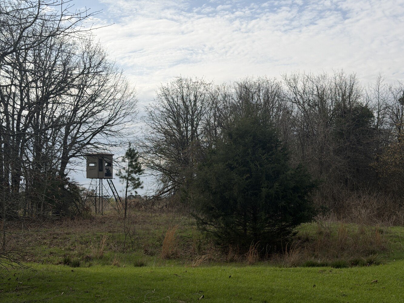 75 Acres Hunting Land in Antlers