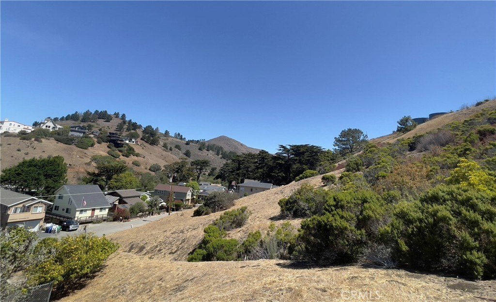 Picture 2