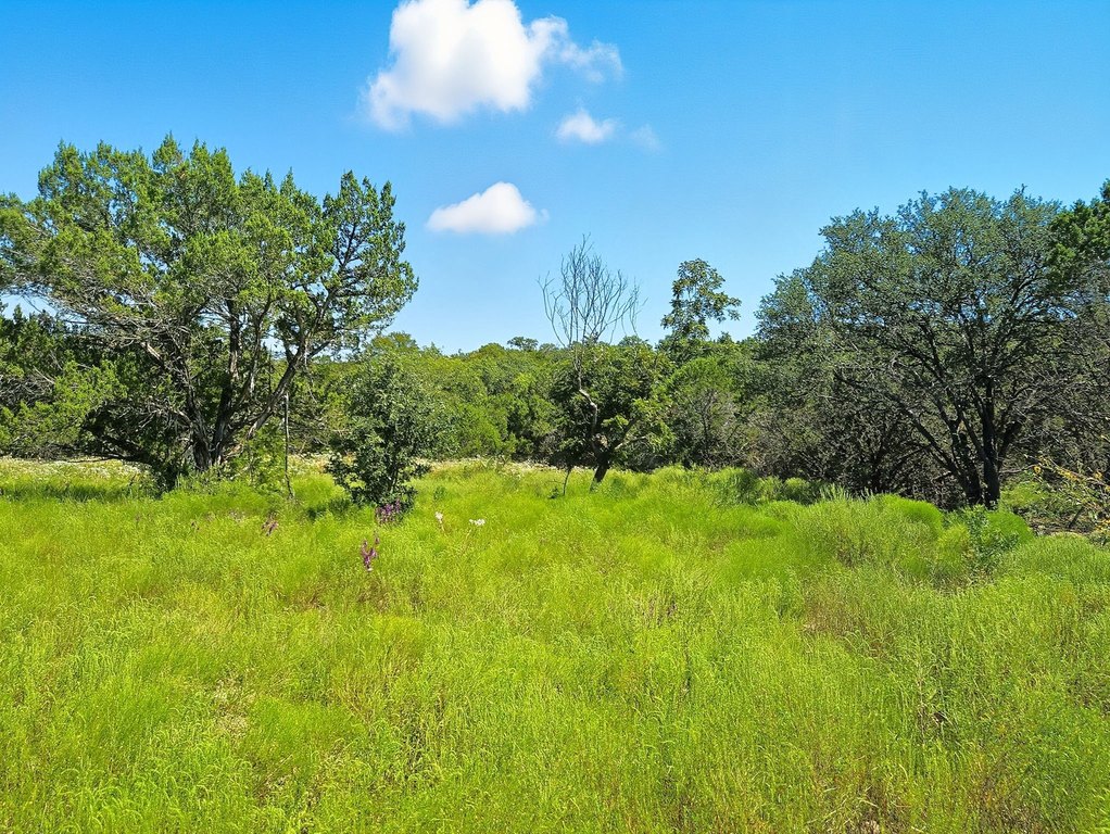 Picture 23