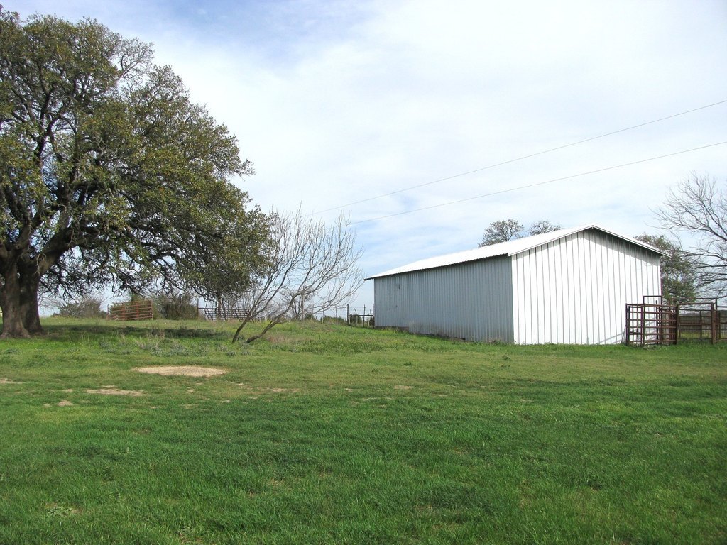 Picture 28