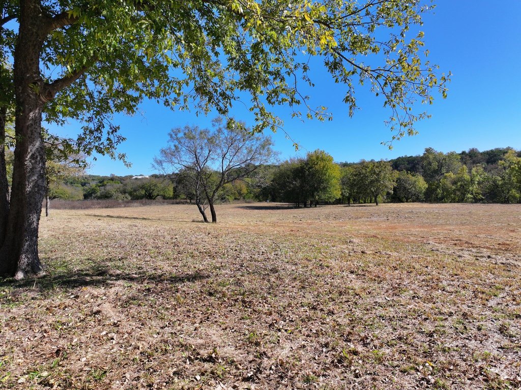Picture 23
