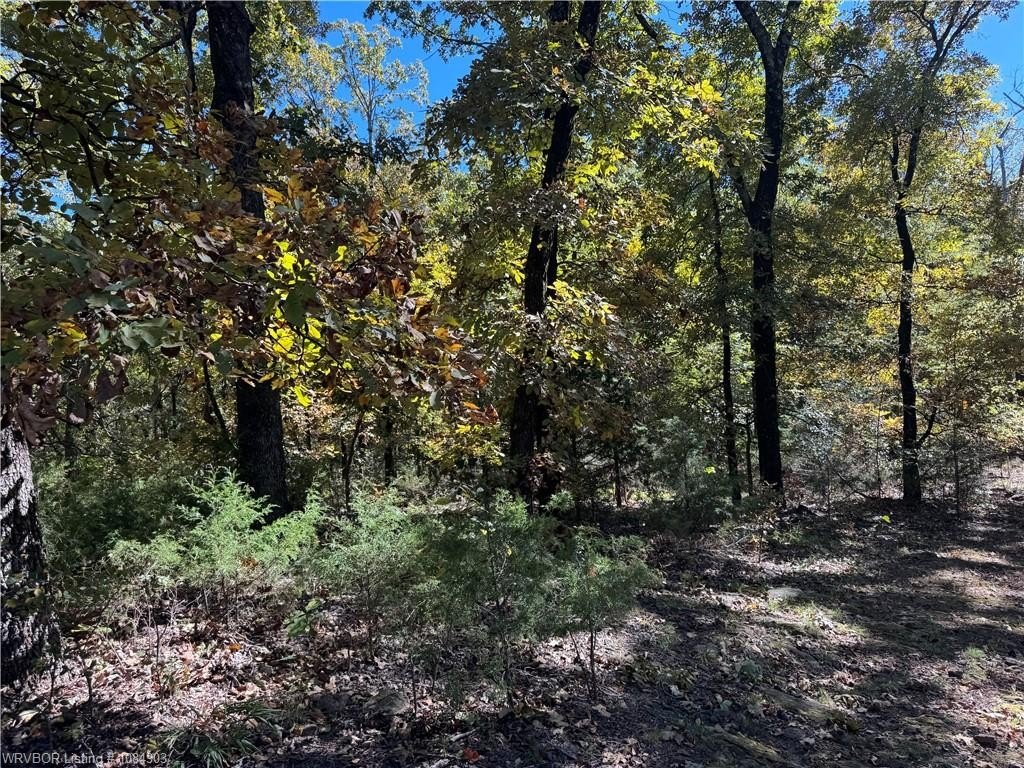 Park Hill Land For Sale