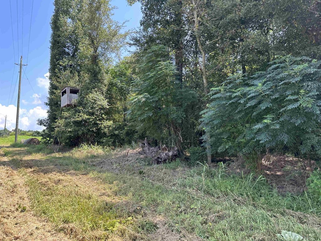 Picture 25
