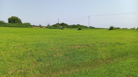 Land, Mingo, IA