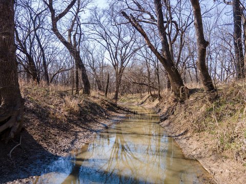Timber and Creek Bottom Hunting Land
