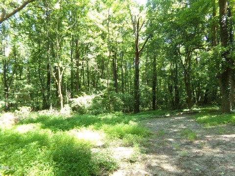 Residential Land in Louisburg, NC