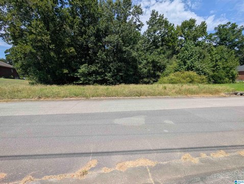 LAND/LOTS, HUEYTOWN, AL