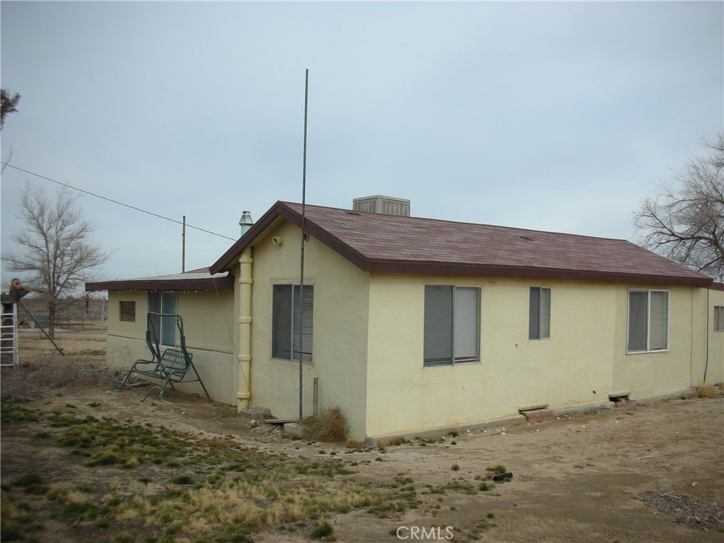 Picture 8