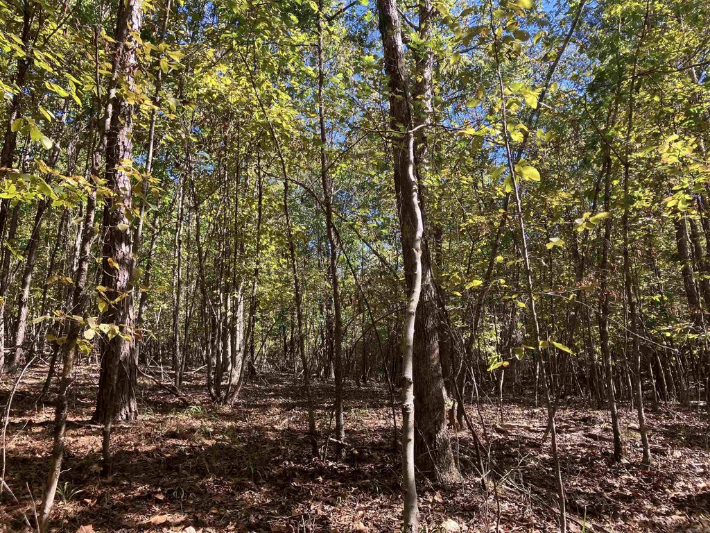 Picture 19