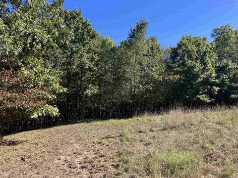 Vacant Land, Mena, AR