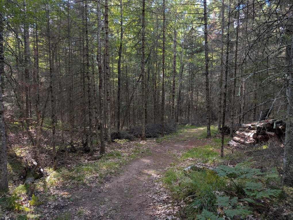 Picture 9