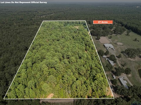 27 Acres Wooded Elysian Fields