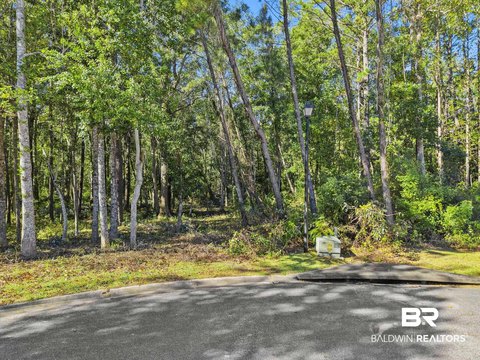Residential Lots Near Downtown Fairhope