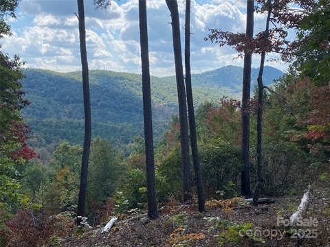 LAND - Nebo, NC