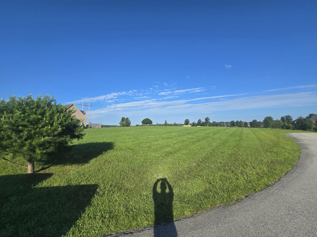 Picture 4
