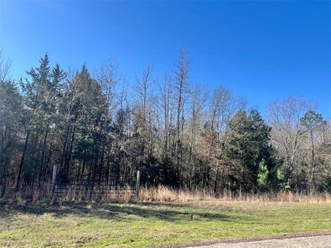 40 Acres of Unimproved Land