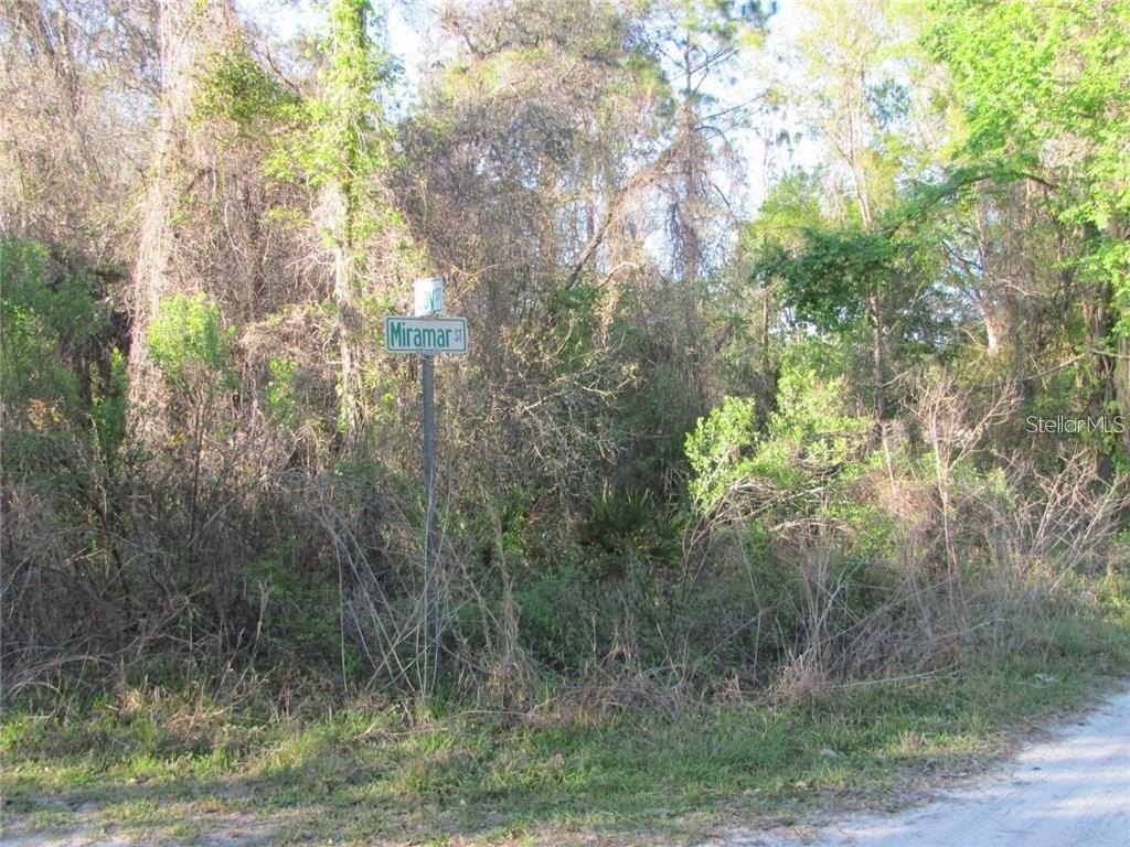 Picture 2