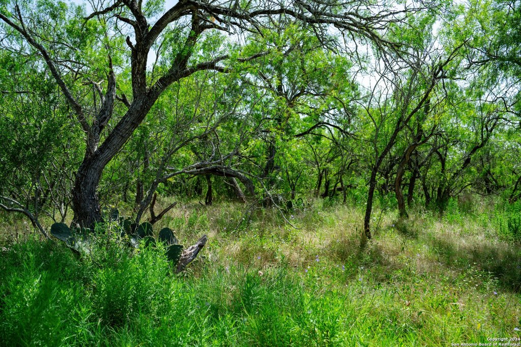 Picture 33