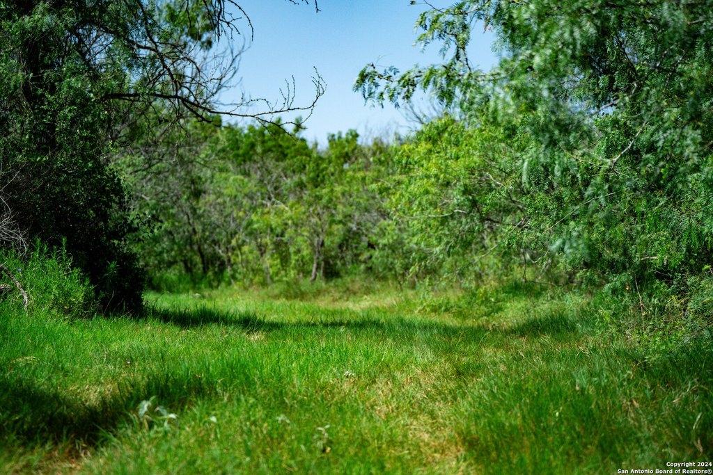 Picture 29