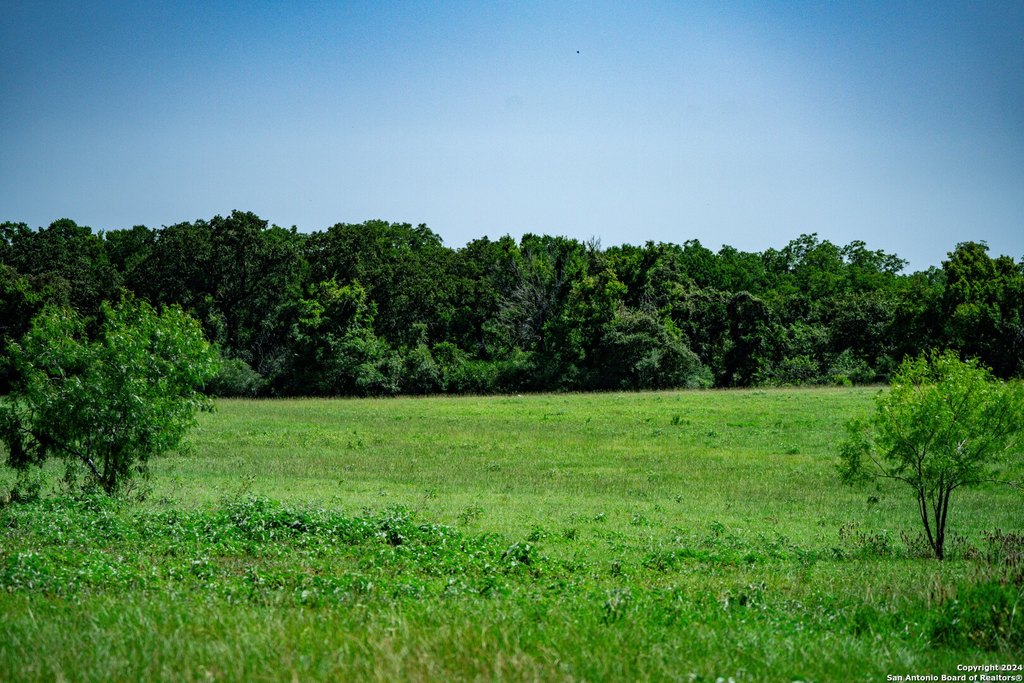 Picture 30