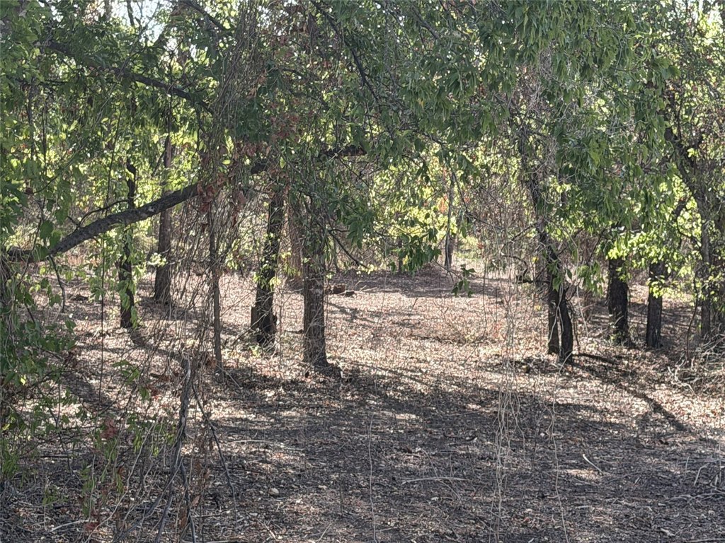 Picture 14