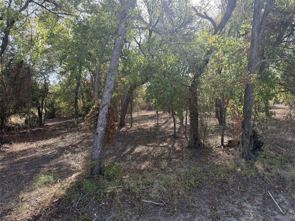 Picture 12