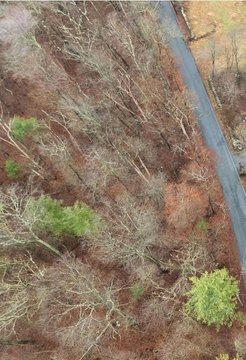 Land in Peaceful Scituate, RI