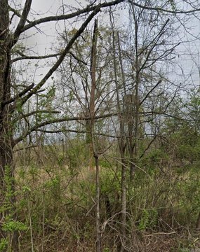 Spacious Lot in Camden, AR