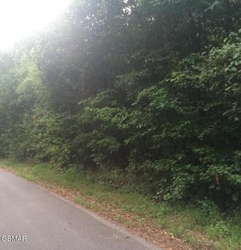 LAND - Baneberry, TN