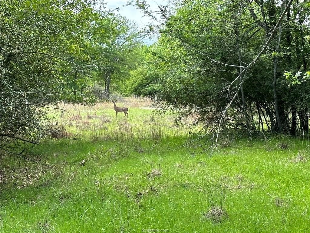 Picture 4