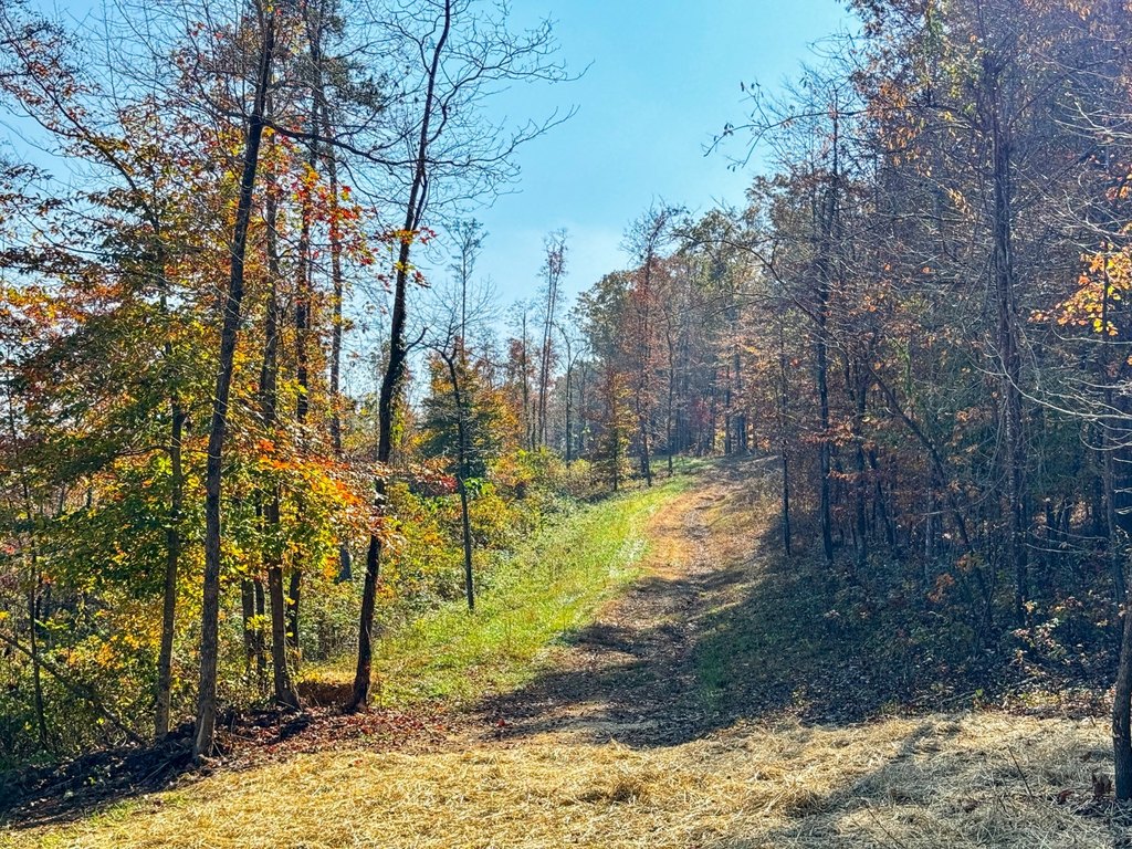 Picture 21