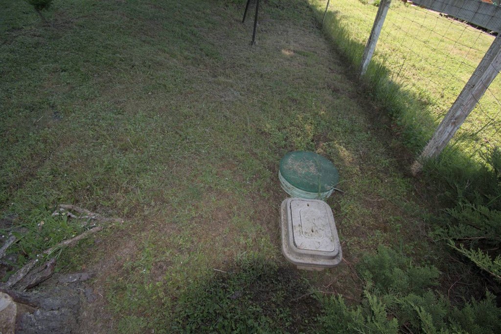 Picture 13
