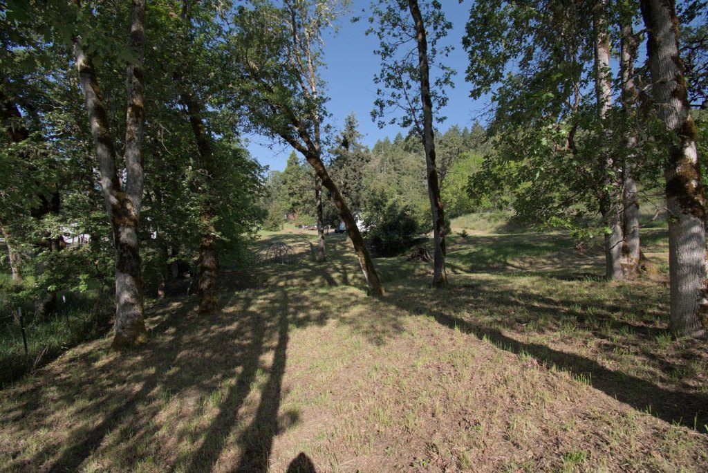 Picture 24
