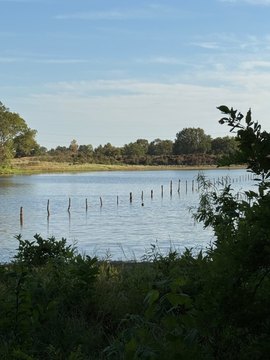 Land, Idabel, OK